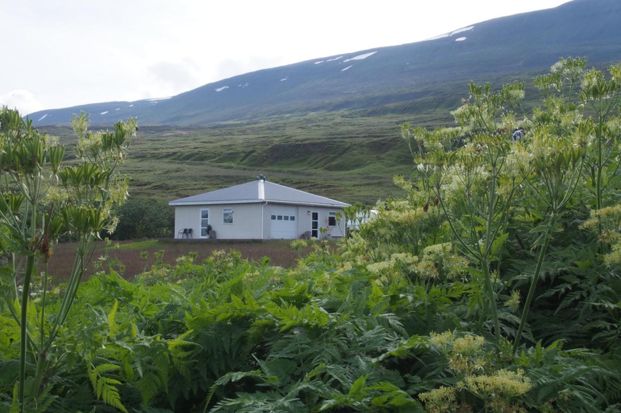 Granastathir Guesthouse Husavik Exterior photo