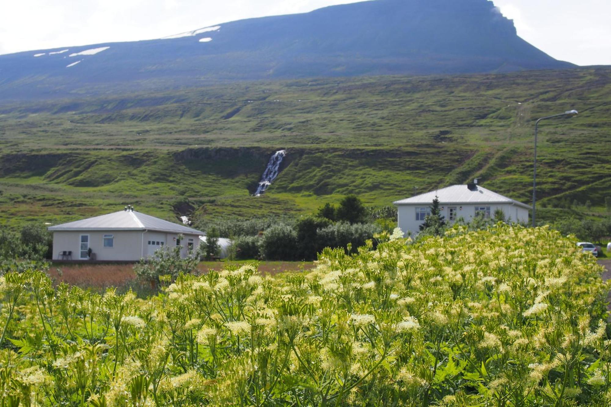 Granastathir Guesthouse Husavik Exterior photo